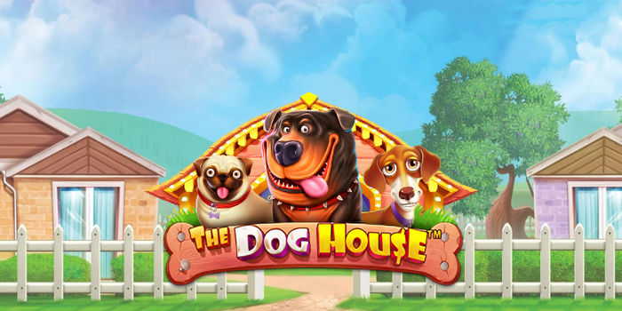 Consistent Strategy Sought by Players In The Dog House Slot