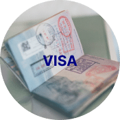 Visa Section