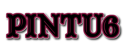 Logo PINTU6
