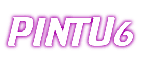 PINTU6