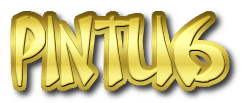 PINTU6