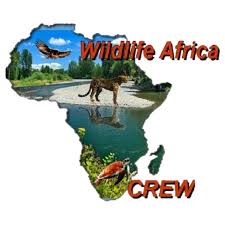 Wildlife of Africa Conservation Initiative