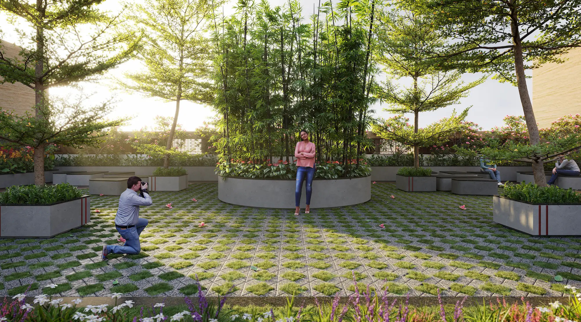 the nest - Image 7