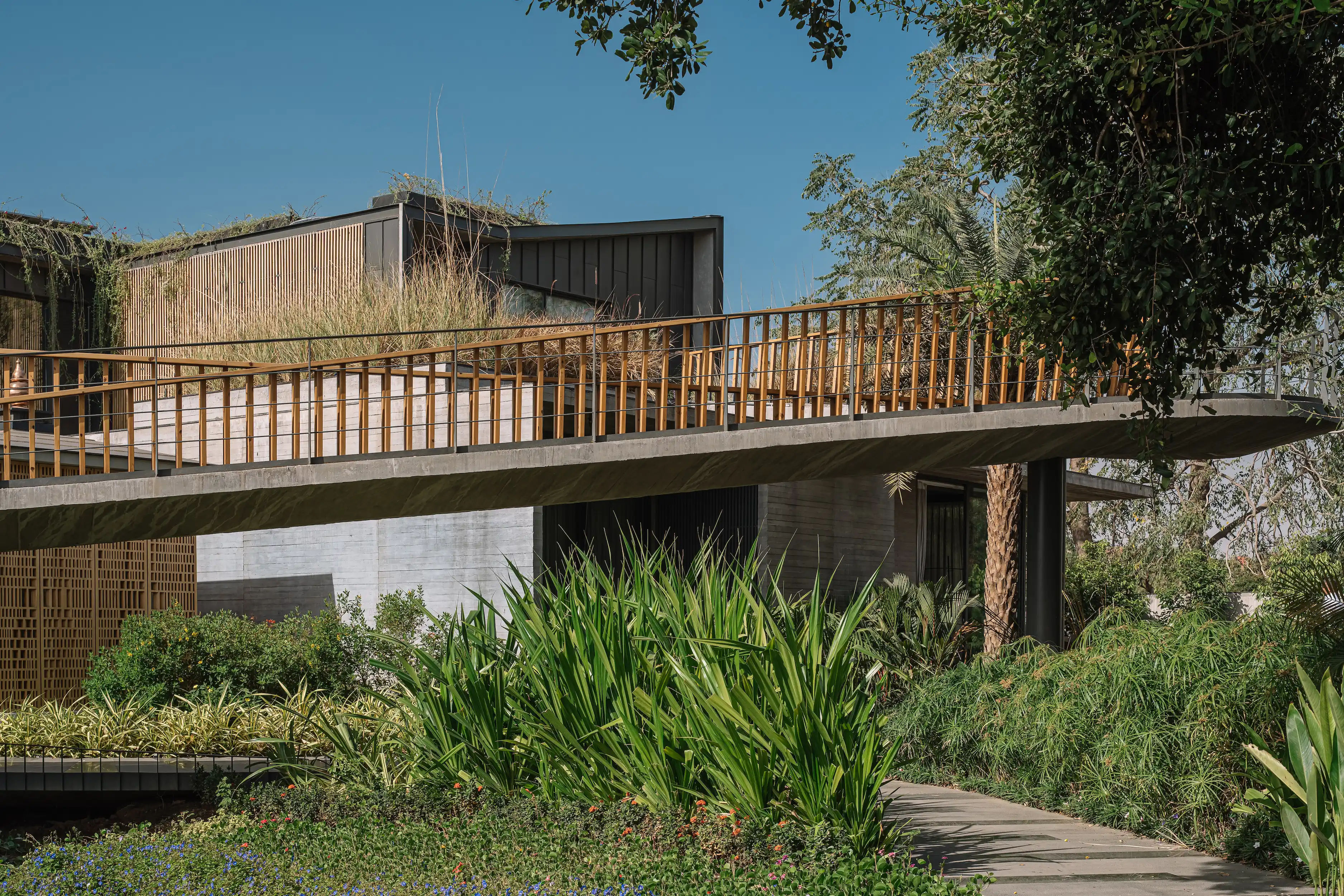 link house - Image 8