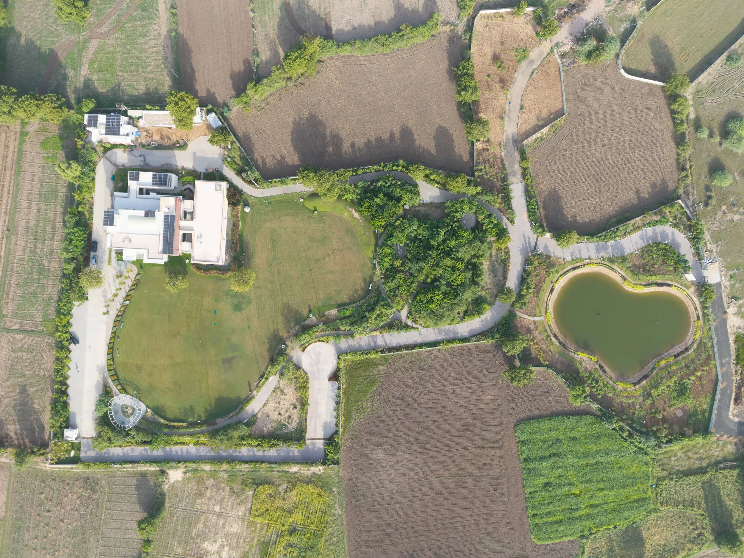 mulsana farms - Image 1