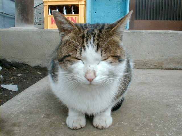 お父さん ぶちたろう2