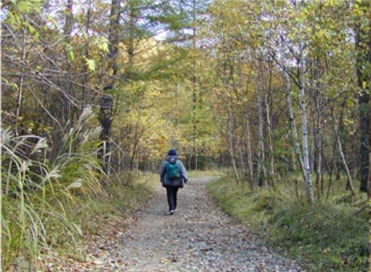 山道１