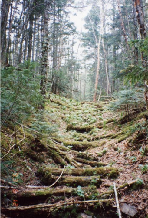 山頂到着３