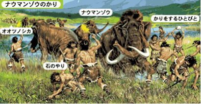 アケボノゾウ1
