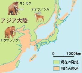 アケボノゾウ2