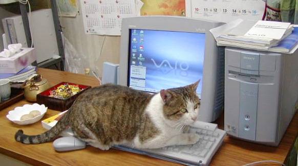 ぶちち