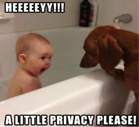 Cover Image Privacy in the Modern Digital Landscape