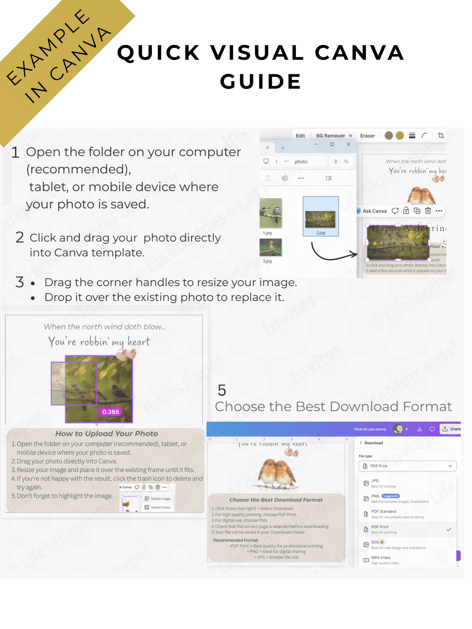 Replacing Photos in Canva