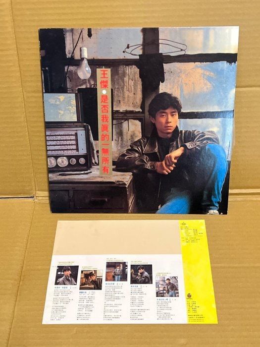 混合收藏初步估價拍攝唱片書脊 CD 內圈卡式帶與音響銘牌