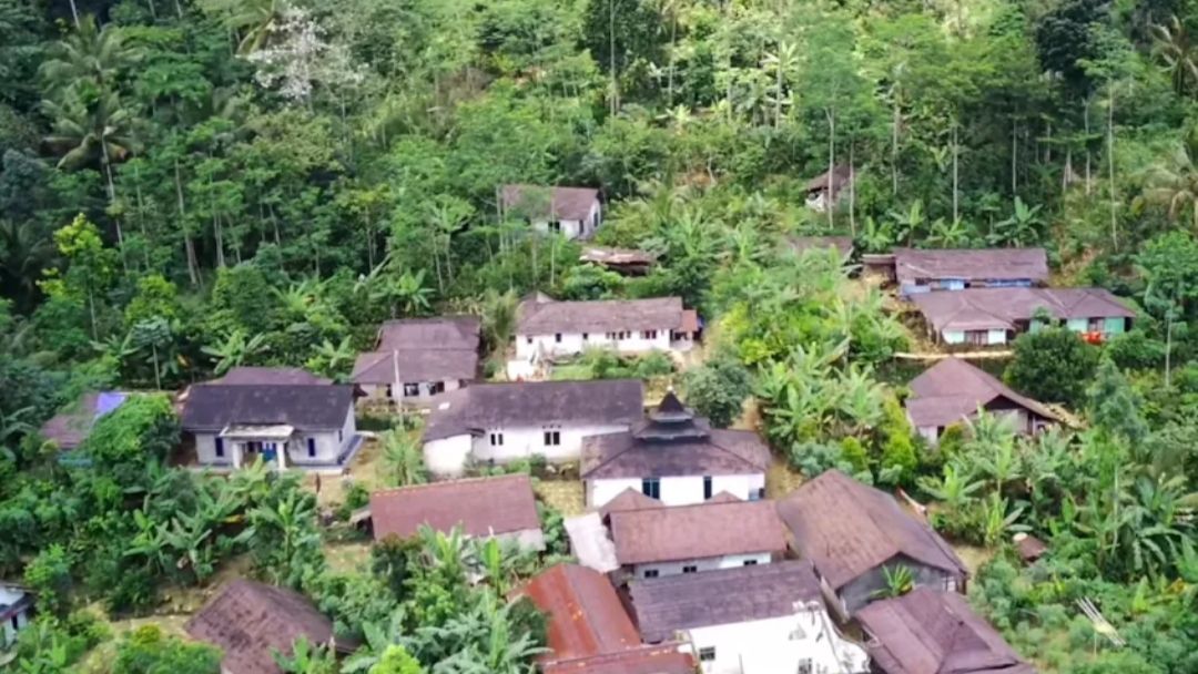 Kondisi rumah permanen tak berpenghuni di Dusun Cikal Purbalingga yang dikelilingi hutan lebat, memberikan kesan kampung mati yang sunyi dan asri.