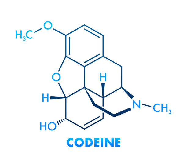 Invloed van Dihydrocodeïne op de eetlust