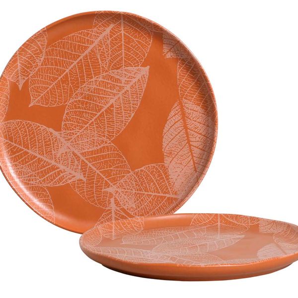 PLATO LLANO BIO BRISA H.A.I