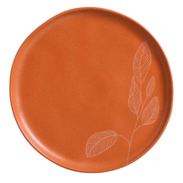 PLATO LLANO BIO AGRESTE