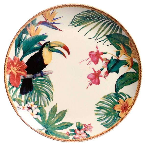 PLATO LLANO COUP AMAZONIA