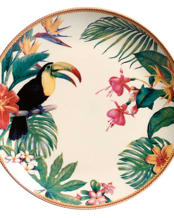 PLATO LLANO COUP AMAZONIA