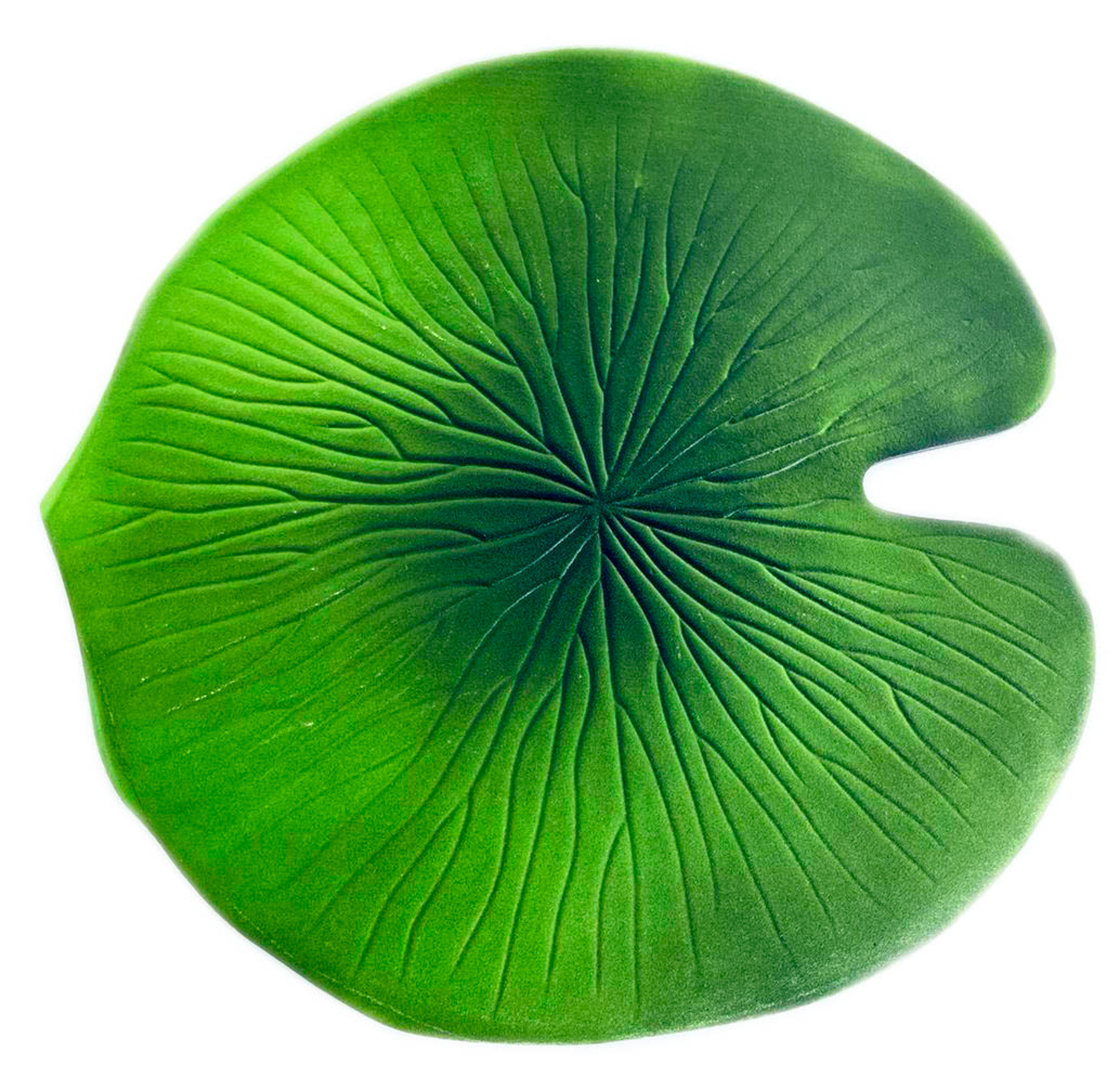 Individual Hoja de Loto