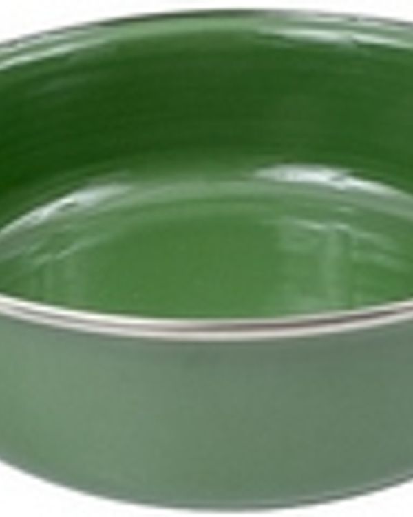 Sarten Esmaltado Y Vitrificado Doble Asa 3.5 Lt