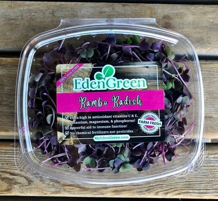 Rambo Radish, Small (16 floz) - Microgreens Product By Dejah Simunds