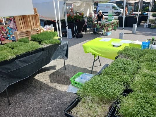 Farmer Markets and Events - Microgreens Photo Album By Your Urban ... - Denver Microgreens Market
