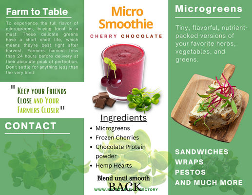 Educational Trifold Pamphlet Template Microgreens Website Digital