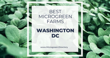 Best Microgreen Farms near Washington D.C.