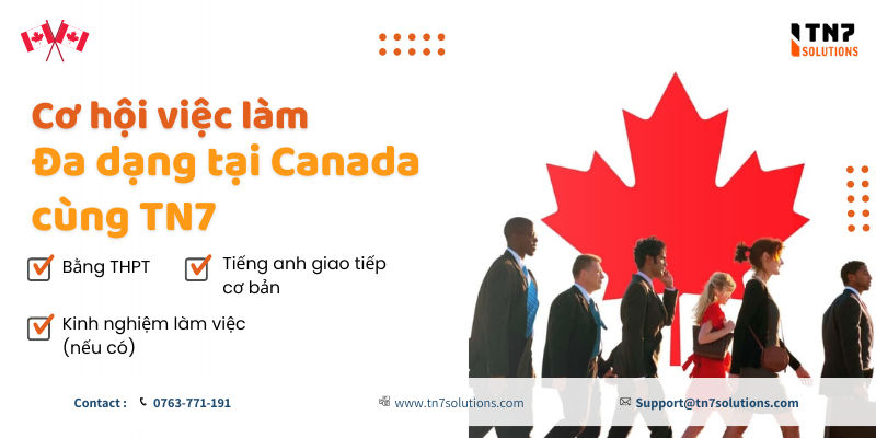 Lao Động Tại Canada: Cơ Hội Việc Làm Đa Dạng Tại TN7 Solutions