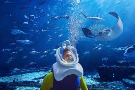 Diving with Aqua Ventures