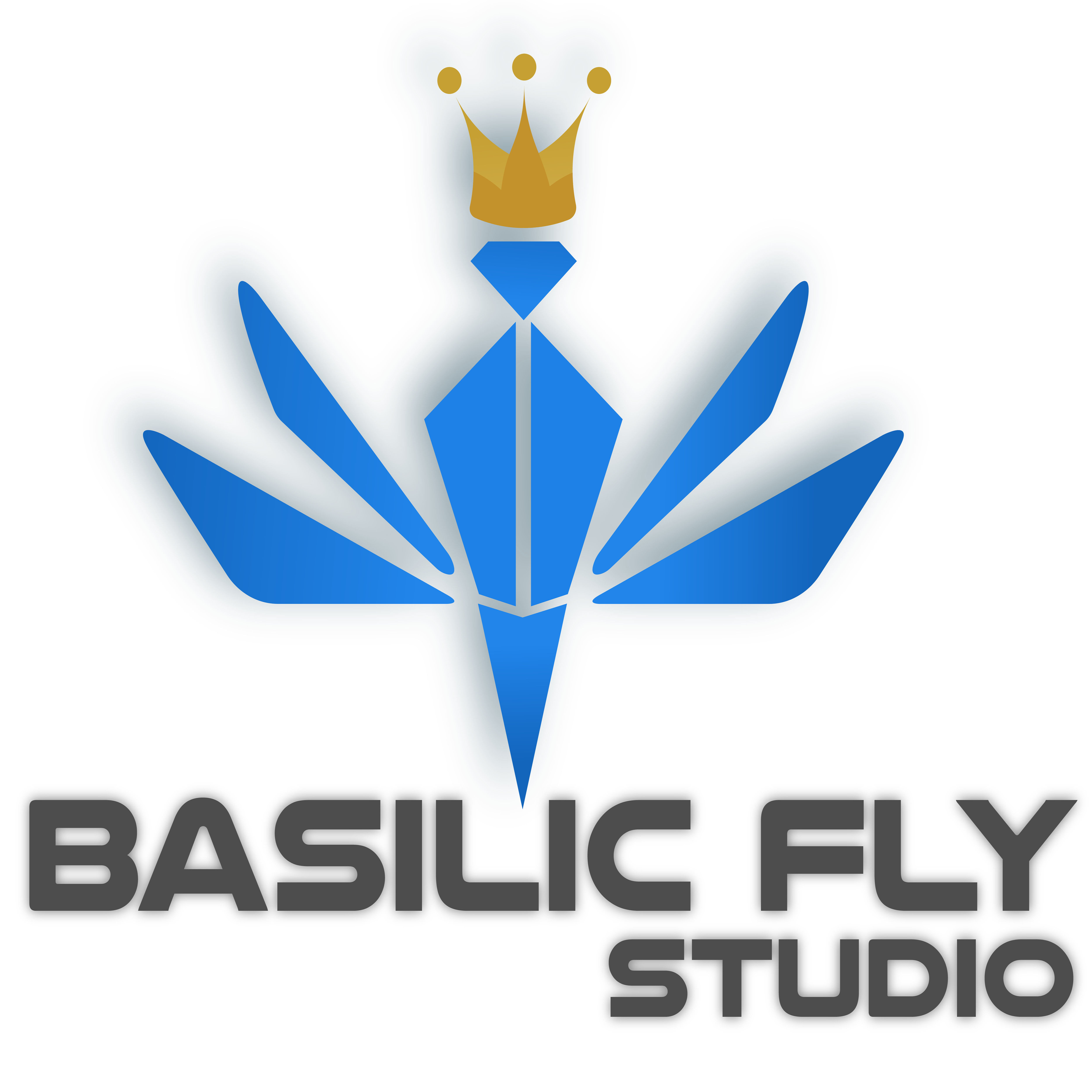 Basilic Fly Studio seeks to raise Rs 66.35 crore via IPO, price band set at Rs 92-97 per share