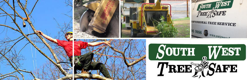 Arborist, Stump Removal, Tree Lopping, Tree Maintenance Service Bunbury ...