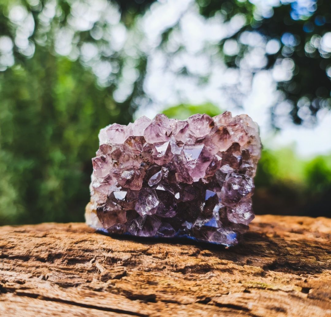 Amethyst Cluster