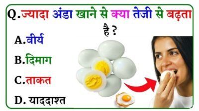GK Quiz: ज्यादा अंडा खाने से क्या तेजी से बढ़ता है? 99% लोग नहीं जानते सही जवाब, आप भी जान लें