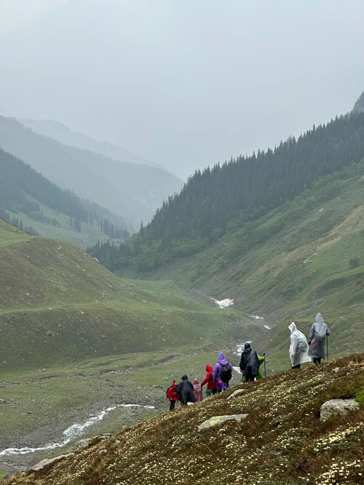 BURAN GHATI PASS TREK — photo 3