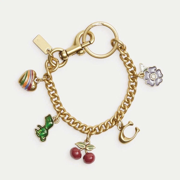 Coach Bag Chain - v2