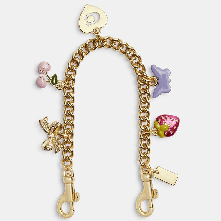 Coach Bag Chain - v1