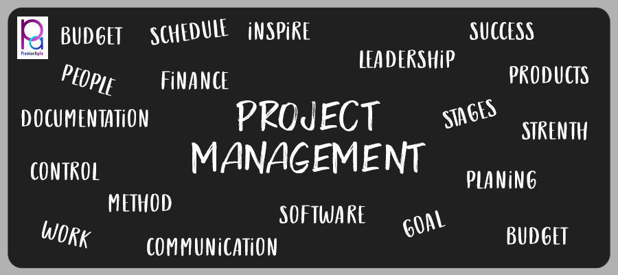 What is Project Environment in Project Management?