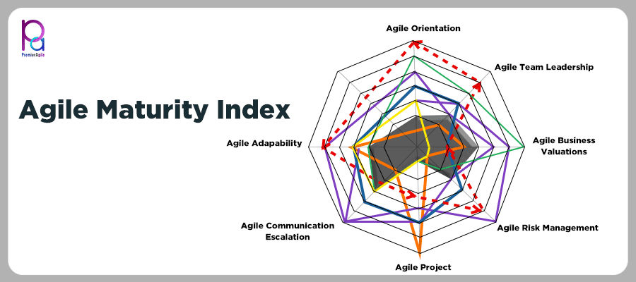 Brief on Agile Maturity Index