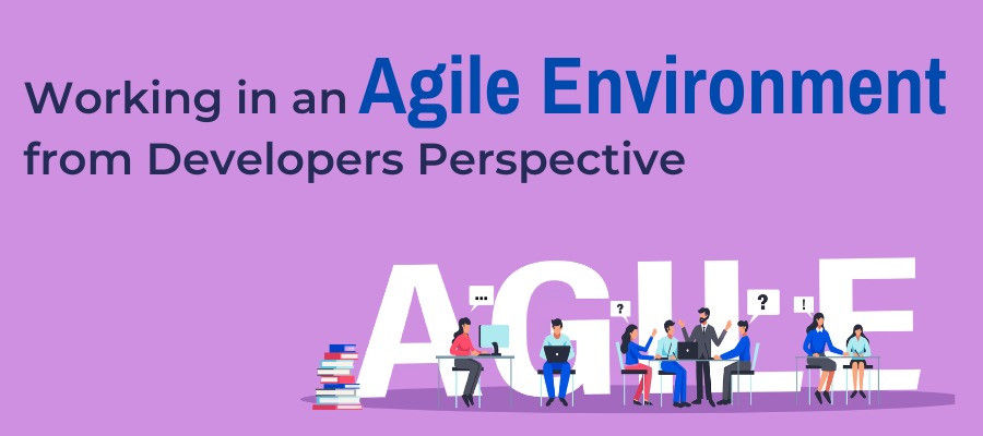 Working in an Agile Environment from Developers Perspective