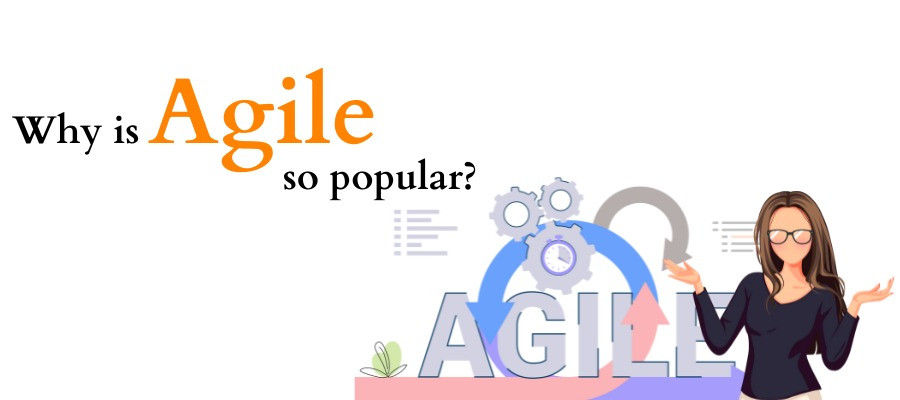 Why is Agile so popular?