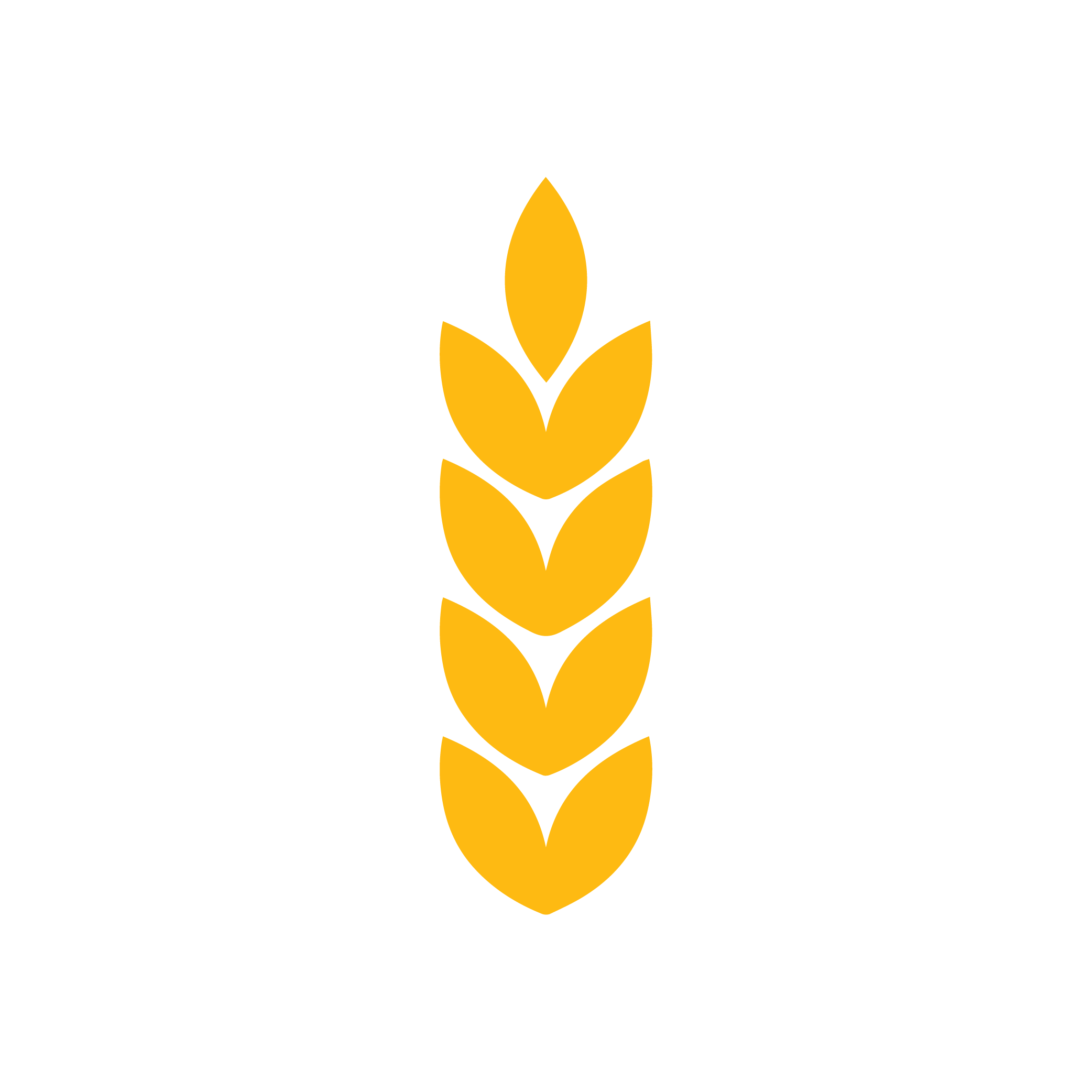 Wheat
