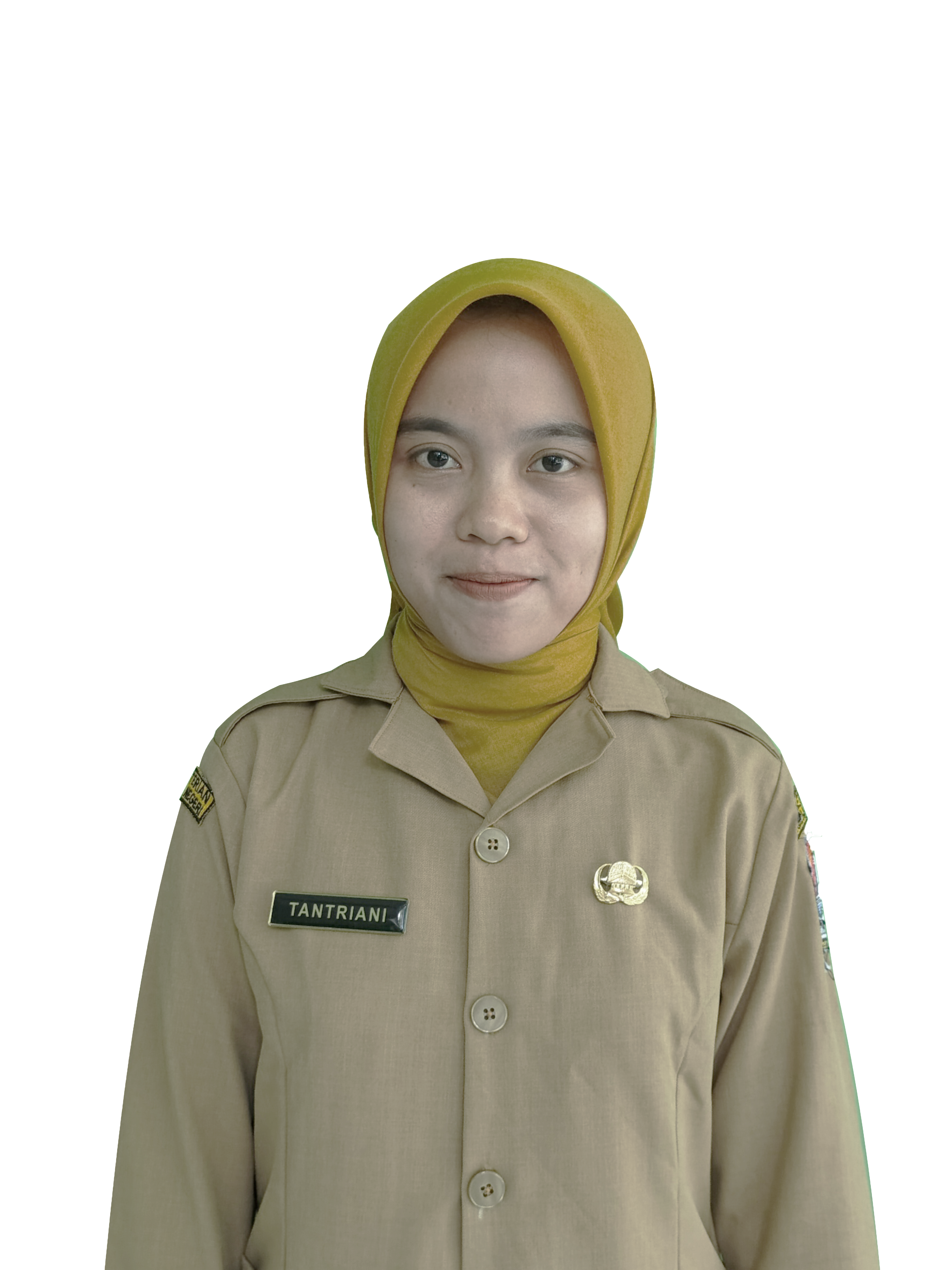 Pamong Pemerintahan