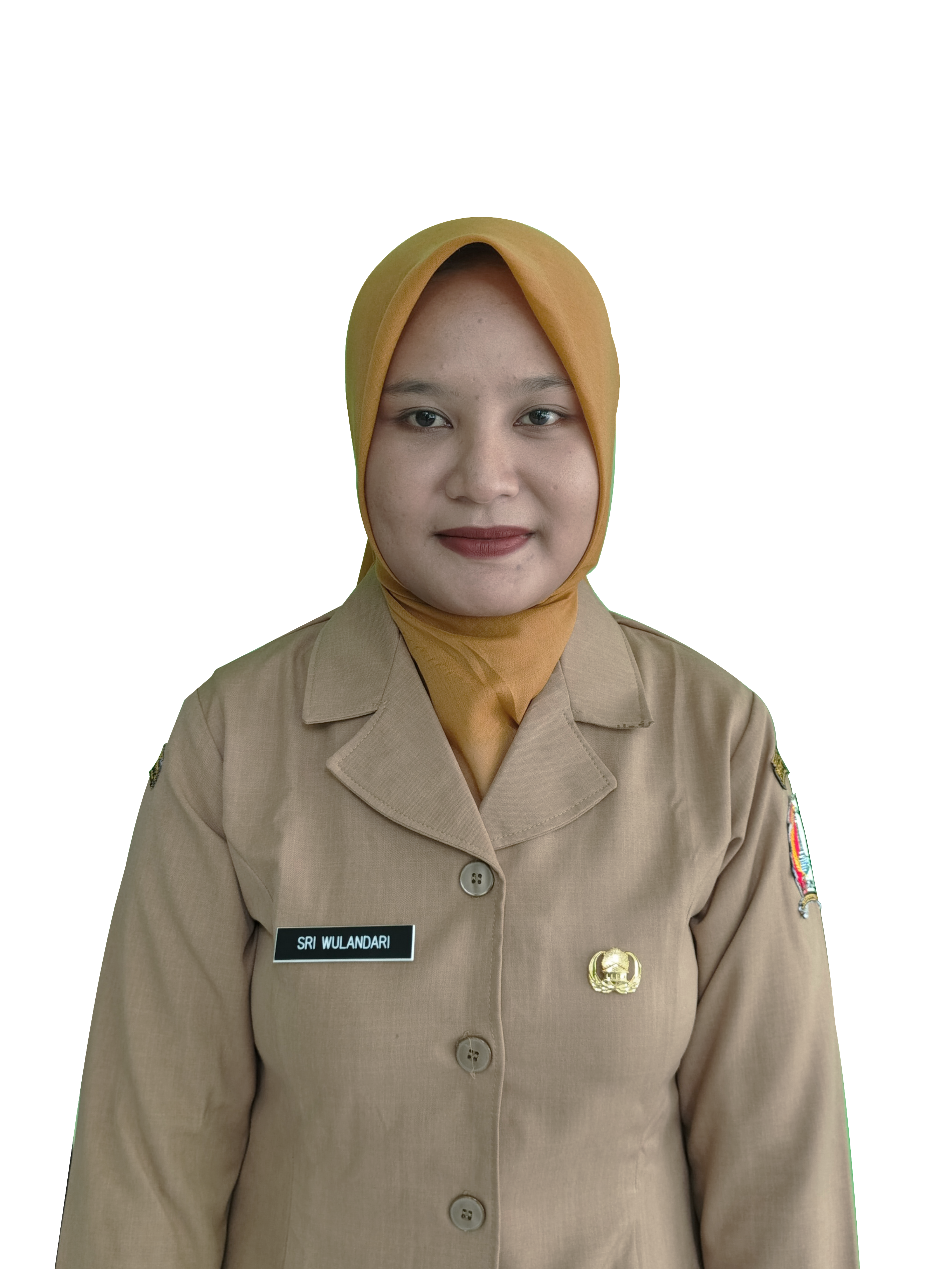Penata Layanan Operasional