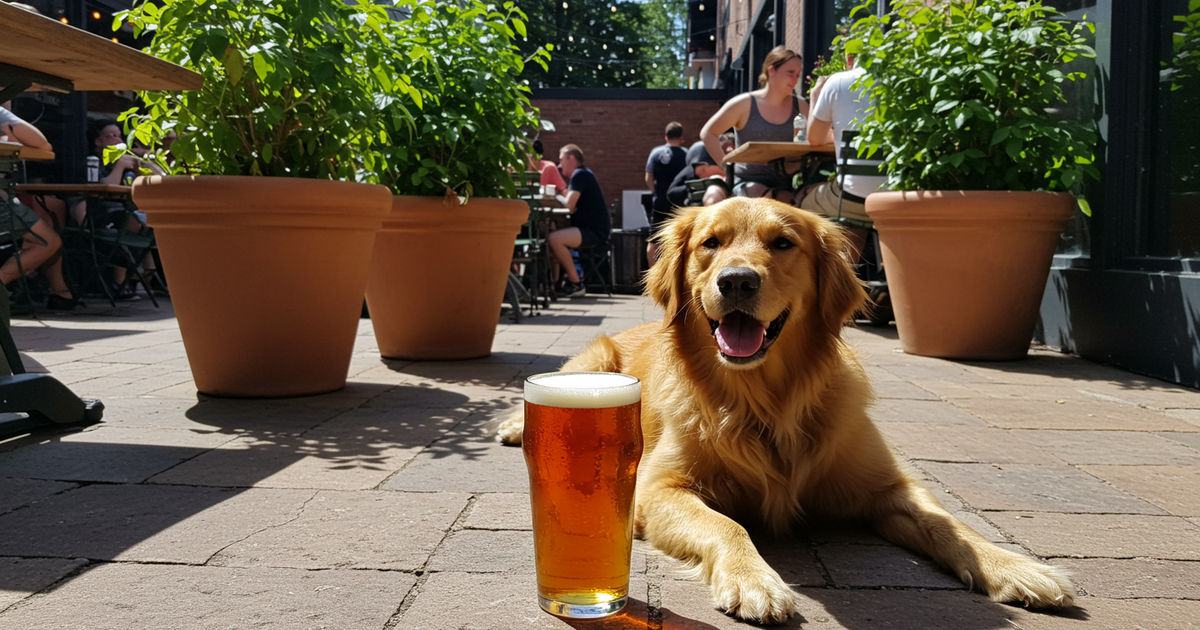 Dog-Friendly Patios & Breweries in St. Louis
