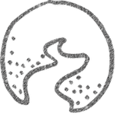 Meramec Dermatology - Arnold Profile Photo - Medical and Wellness in Arnold MO