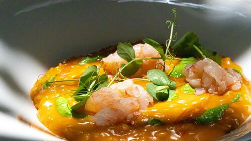 Explore the Delicious Osteria Forto Menu for 2026