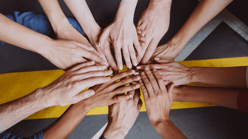 Trusted Services from St. Louis Experts Near You